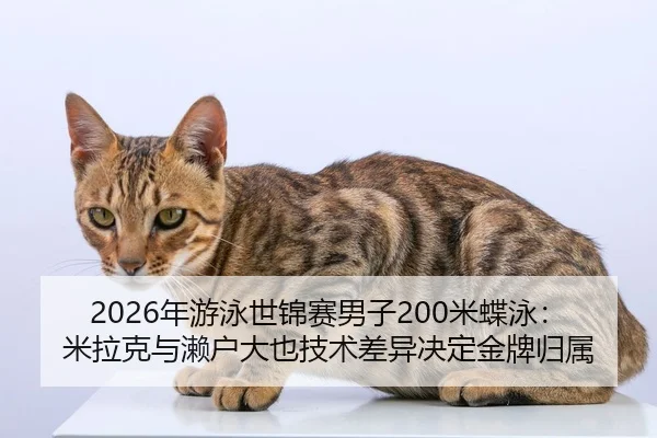 2026年游泳世锦赛男子200米蝶泳：米拉克与濑户大也技术差异决定金牌归属